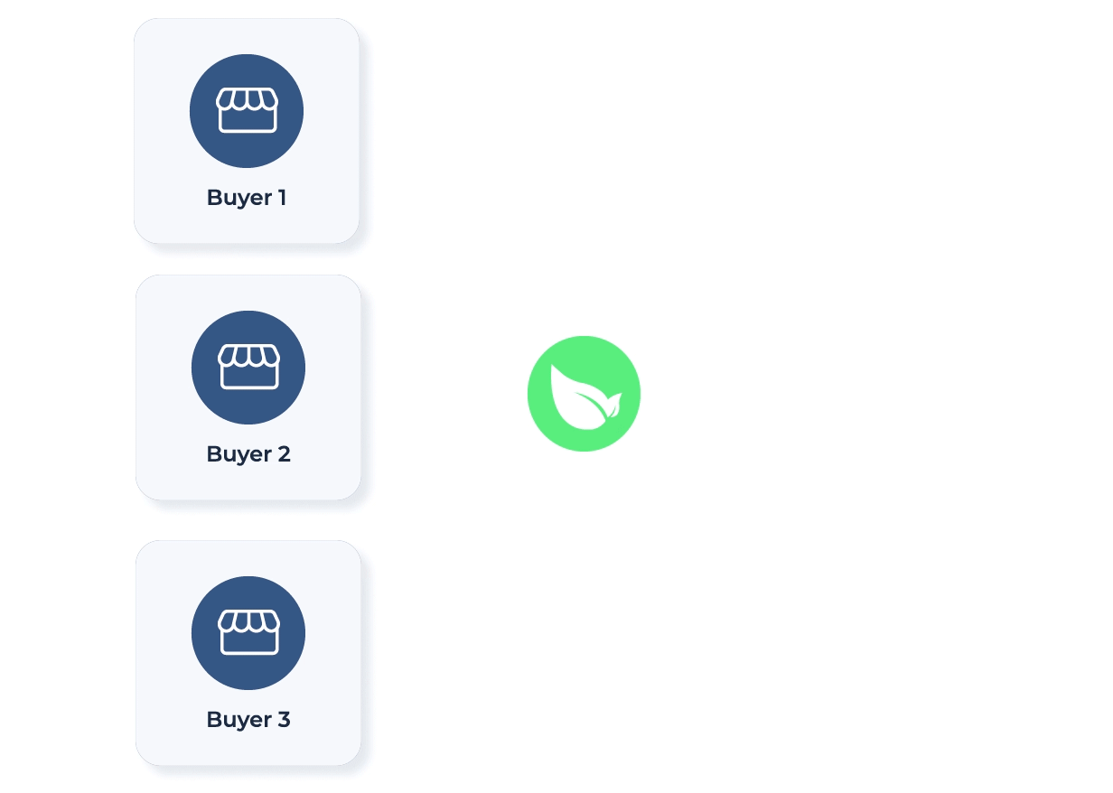 B2B Payment flow scheme