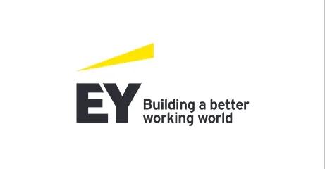 Logo partner EY
